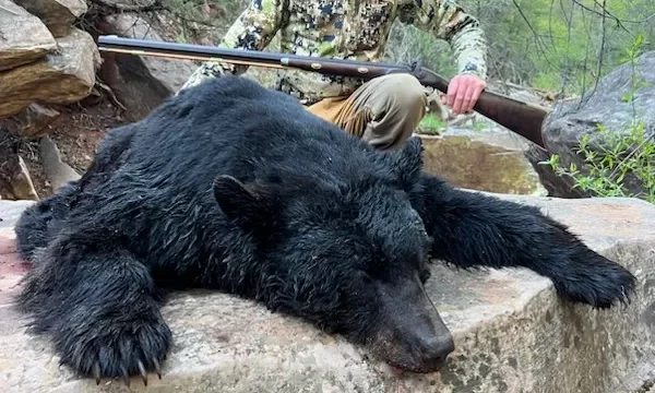black bear rifle kill